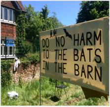 Do no harm to the bats in the barn